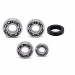 Getriebelager kompatibel mit Yamaha T110 T110C TT-R110E TT-R110EX TT-R110EY PPS01254 die Kugellager und Wellendichtringe in Erstausrüsterqualität eignen sich für die Wartung deines Fahrzeuges