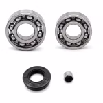 Getriebelager kompatibel mit Yamaha PW80 PW80W PW80X PW80Y V80 PPS01260 die Kugellager und Wellendichtringe in Erstausrüsterqualität eignen sich für die Wartung deines Fahrzeuges