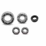 Getriebelager kompatibel mit Yamaha V110-F1-ZR Force One V110E-F1-Z Force One V110ZE Force One PPS01261 die Kugellager und Wellendichtringe in Erstausrüsterqualität eignen sich für die Wartung deines Fahrzeuges