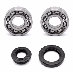 Cuscinetto dell'albero a gomiti per Cuscinetto dell'albero a gomiti per Yamaha CH80. PPS01423 I cuscinetti a sfera e i paraoli di qualità originale sono adatti alla manutenzione del vostro veicolo.