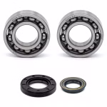 Crankshaft bearing for Crankshaft bearings for Yamaha YN100 YN100-NEOS YN100-OVETTO-100 YQ100 YQ100-NITRO-100 PPS01428 the ball bearings and oil seals in OEM quality are suitable for the maintenance of your vehicle