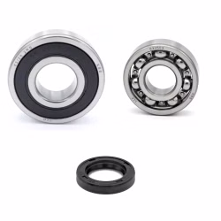 Cuscinetto dell'albero a gomiti per Cuscinetto albero motore per SYM GTS HD JOYMAX JOYRIDE. PPS01456 I cuscinetti a sfera e i paraoli di qualità originale sono adatti alla manutenzione del vostro veicolo.