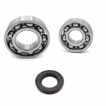 Crankshaft bearing for Crankshaft bearings for SYM GTS JOYMAX PPS01457 the ball bearings and oil seals in OEM quality are suitable for the maintenance of your vehicle