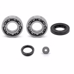 the ball bearings and oil seals in OEM quality are suitable for the maintenance of your vehicle