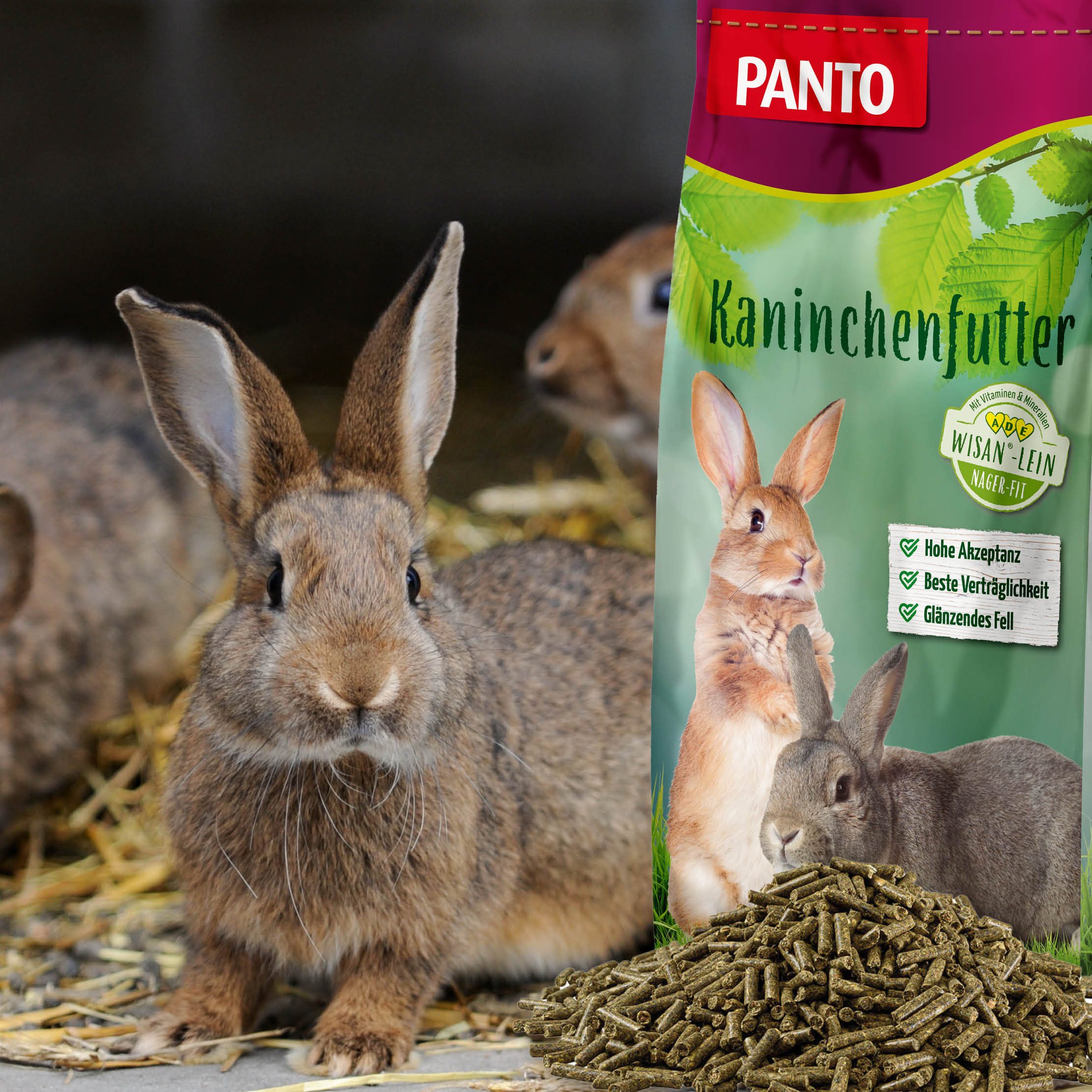 PANTO® Kräuterkanin · Kaninchenfutter für Zucht & Mast · Mit Kräutern · 25 Kg PANTO® Kräuterkanin · Kaninchenfutter für Zucht & Mast · Mit Kräutern · 25 Kg