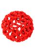 Ein rotes Ballett Duttnetz. 1
