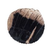 Schale / Seifenschale aus fossilem Holz 12x10x5 cm Gr. S poliert kaufen 8