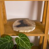 Schale / Seifenschale fossiles Holz 20x18x2 cm Gr. M kaufen 1