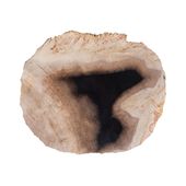 Schale / Seifenschale fossiles Holz 20x18x2 cm Gr. M kaufen 7