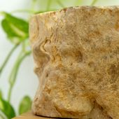 wohnfreuden Waschbecken fossiles Holz ab 70 cm mit Bildergalerie