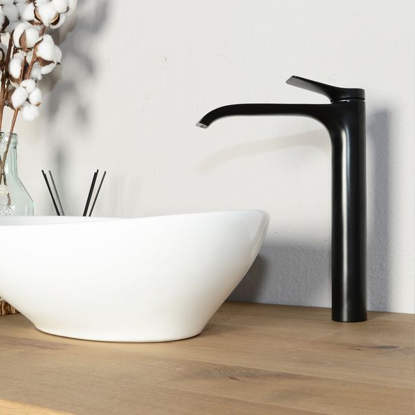 wohnfreuden hansgrohe Vivenis Einhebel-Waschtischmischer 250 mattschwarz