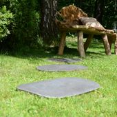 Garten Trittsteine Natur-Fluss-stein glatt kaufen 3
