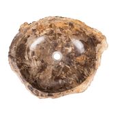 Waschbecken fossiles Holz ca. 60 cm innen poliert kaufen 2