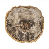 Fossiler Holz Beistelltisch mit Eisen-Untergestell Ø 50 cm Größe M wohnfreuden