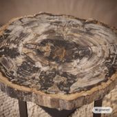Fossiler Holz Beistelltisch mit Eisen-Untergestell Ø 50 cm Größe M wohnfreuden