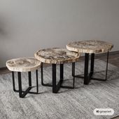 Fossiler Holz Beistelltisch mit Eisen-Untergestell Ø 60 cm Größe L wohnfreuden