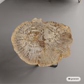 Fossiler Holz Beistelltisch mit Eisen-Untergestell Ø 60 cm Größe L wohnfreuden