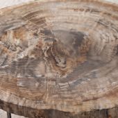 Beistelltisch aus fossilem Holz 70 cm kaufen 3