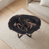 Beistelltisch aus fossilem Holz 80 cm kaufen 3