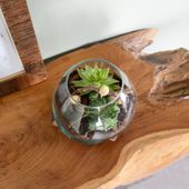 WOHNFREUDEN Vase auf Wurzel Teakholz Glasvase Gr XS 15 - 25 cm Teakholzwurzel
