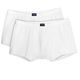 Pants 2er Pack weiß Ceceba Übergröße