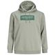 Jack&Jones Übergrößen Hoodie salbeigrün JORGREENE Jack&Jones Übergrößen Hoodie salbeigrün JORGREENE
