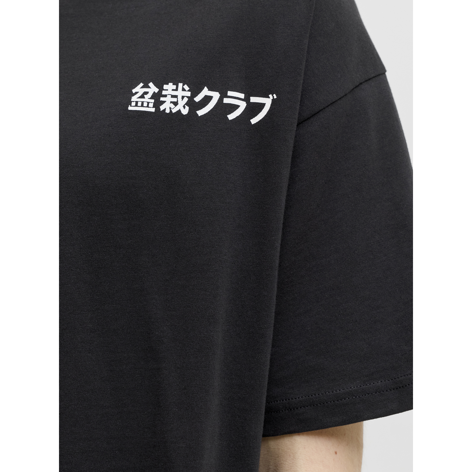 imagePreview-2