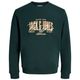 Jack&Jones Übergrößen Sweatshirt dunkelgrün JJAERO