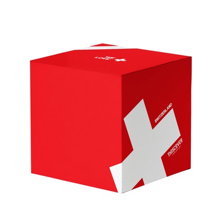 THISCOVER Sitzsack - flag Switzerland