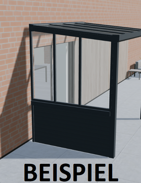Plankenwand mit Seitenwand TYP1 VSG Glas - Klar - 300