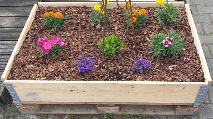 Plantframe 115x70 cm, stapelbaar tot verhoogd bed