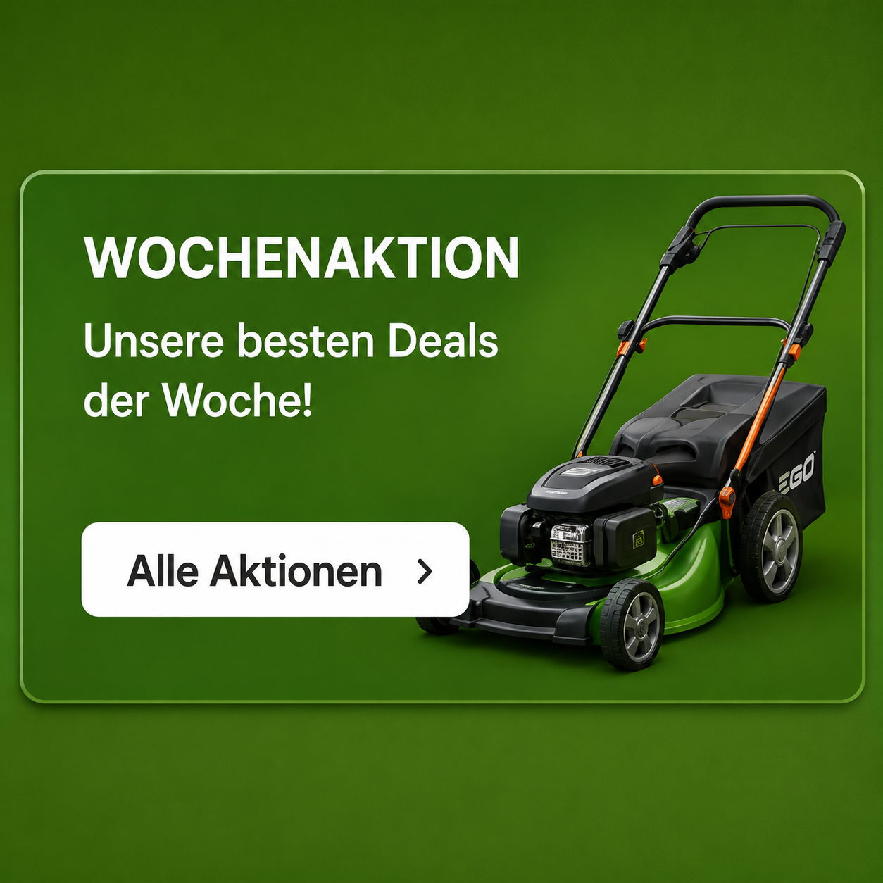 Wochenaktion
