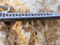 Midgards-Messer-Honeycomb-SD-EDC-Honeycomb-SD-EDC-4387.jpg