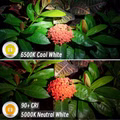 RovyVon-Aurora-A8-G4-USB-C-Nichia-UV-ROT-Weiss-aufladbare-Schluesselbundlampe-mit-Seitenlicht-A8-G4-NI-4443_1.jpeg RovyVon-Aurora-A8-G4-USB-C-Nichia-UV-ROT-Weiss-aufladbare-Schluesselbundlampe-mit-Seitenlicht-A8-G4-NI-4443_1.jpeg
