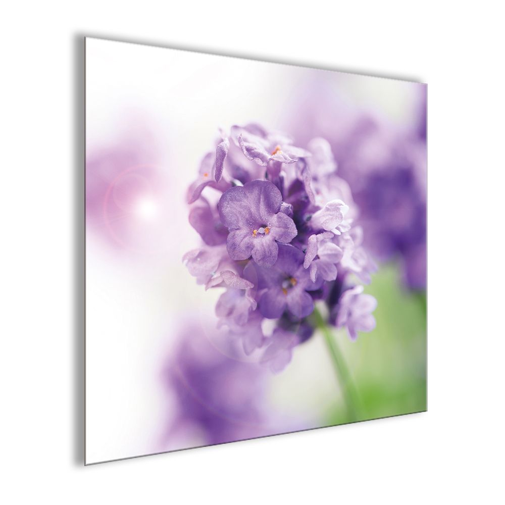 Bild aus Glas 30x30 cm / Wandbild / Blumenbild