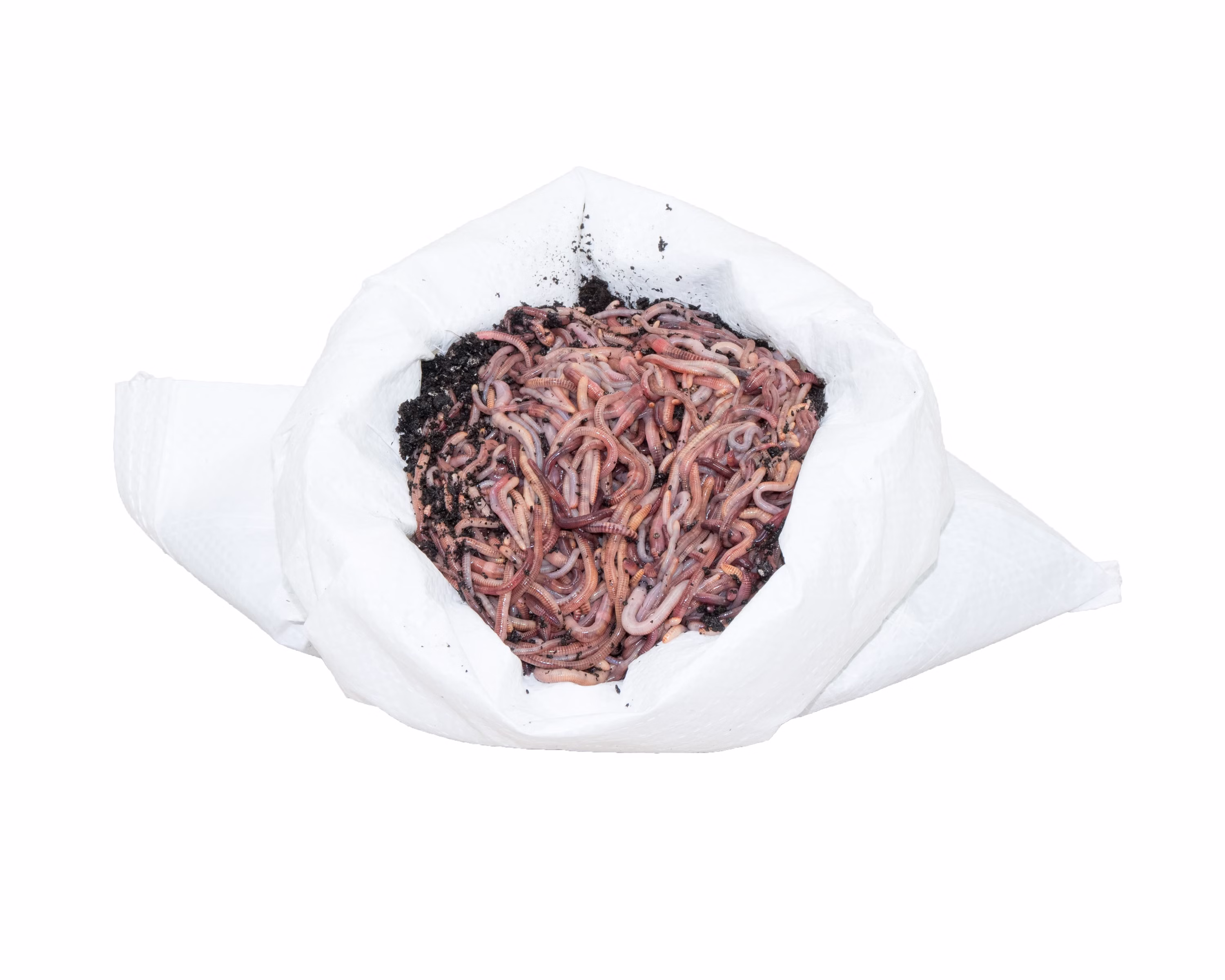 0-5KG-Mix-F.jpg