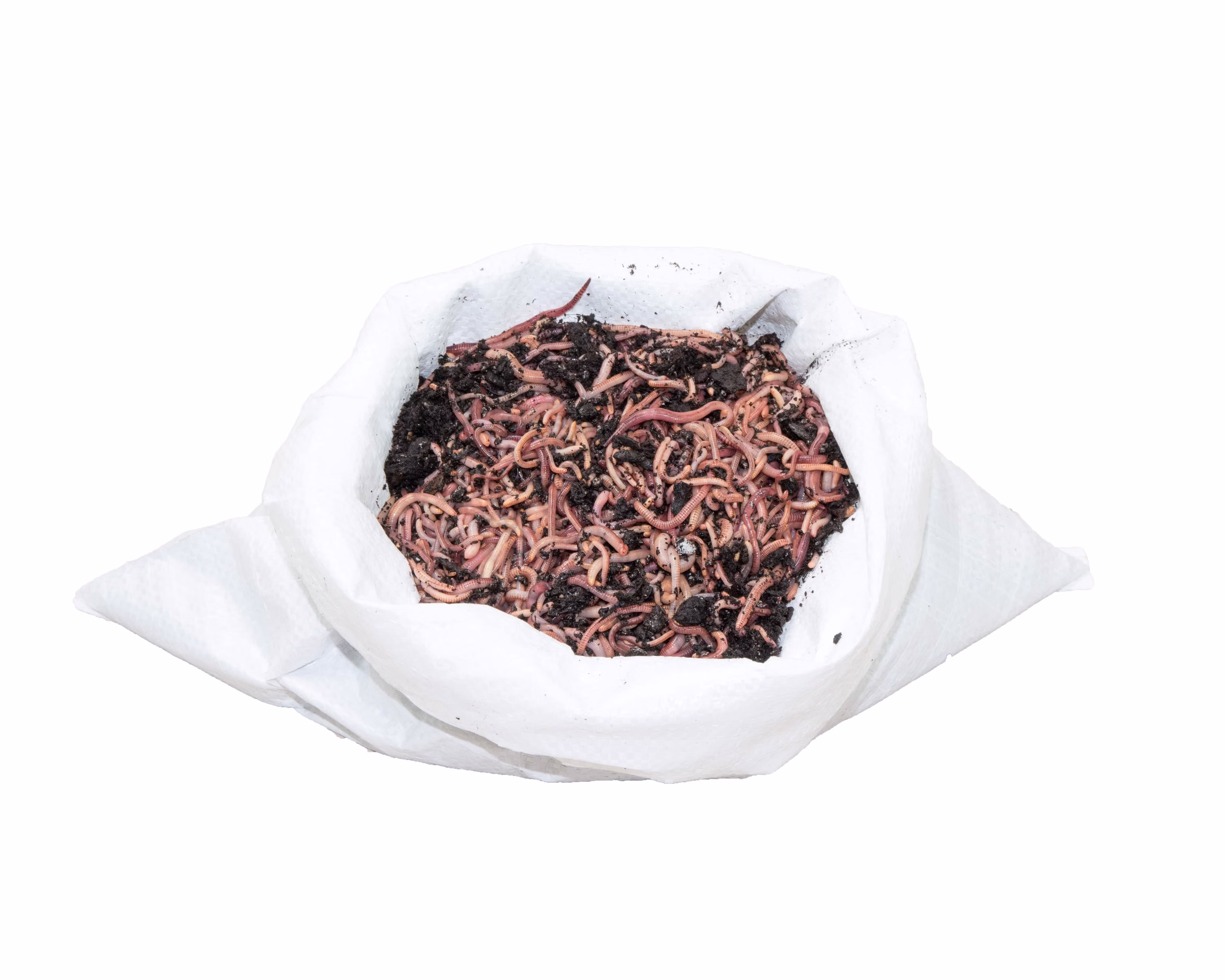 1KG-Mix-F.jpg