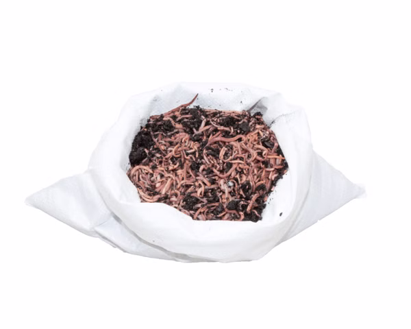 1KG-Mix-F-min-600x600.png