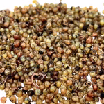 1000-Kokons-Nahaufnahme_1.jpg