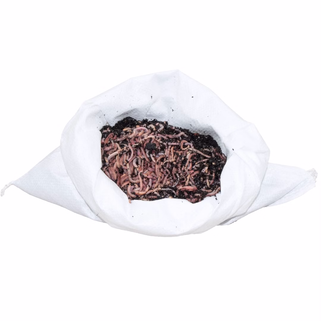 0-5-kg-Gartenwuermer-fuer-50-m---Flaeche.jpg