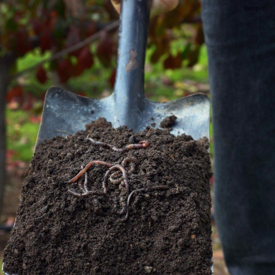 Anwendungsbeispiel-Gartenwuermer1.jpg