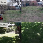 Anwendungsbeispiel-Gartenwuermer3.jpg
