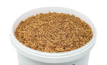 10 Liter getrocknete Mehlwürmer - Insekten getrocknet - Futter Snack für Hühner, Küken, Hamster, Fische, Wildvögel, Igel, Wachtel - Ideales Igelfutter, Vogelfutter
