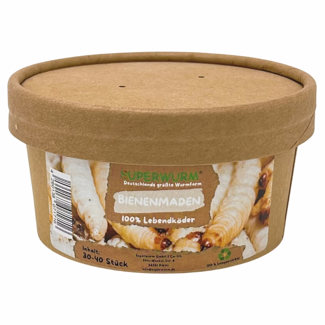 30-40-Bienenmaden-zu.jpg