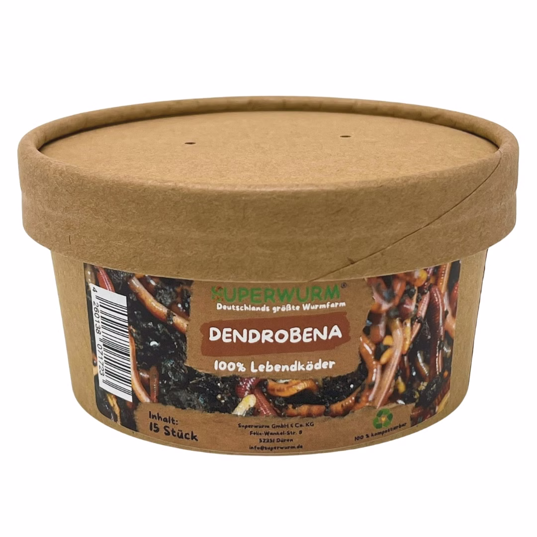 15-Dendro-zu.jpg