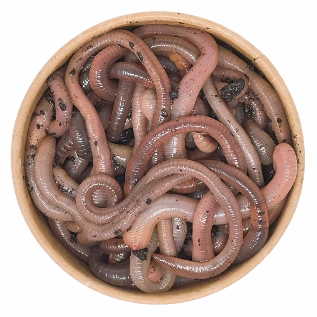 24-Tau-oben.jpg