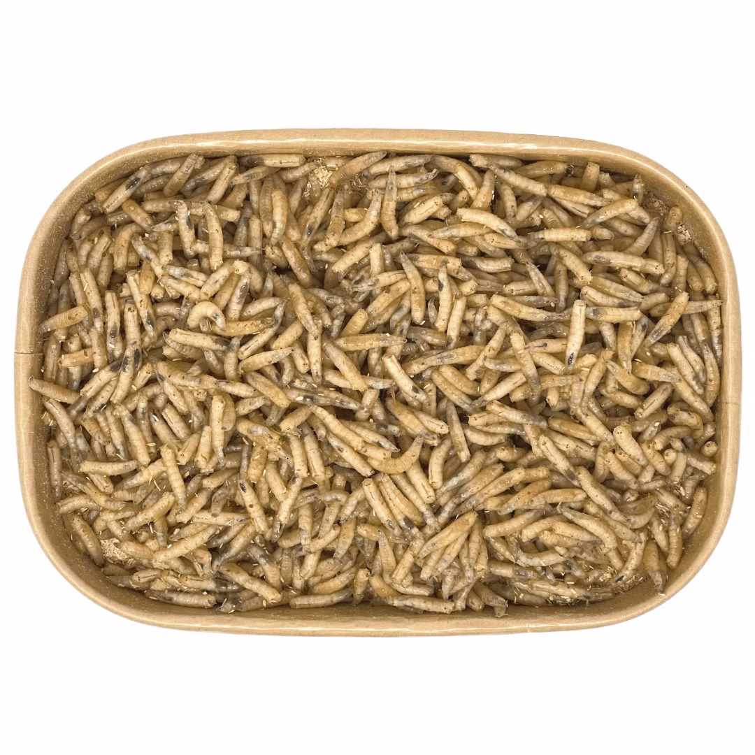 500ml-Maden-oben.jpg