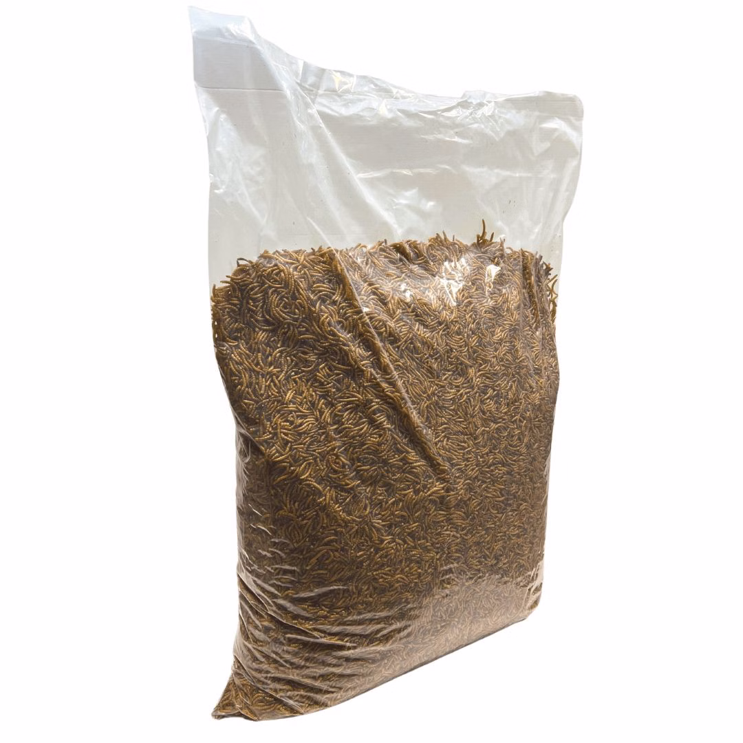 5-kg-Getrocknete-Mehlwuermer.jpg