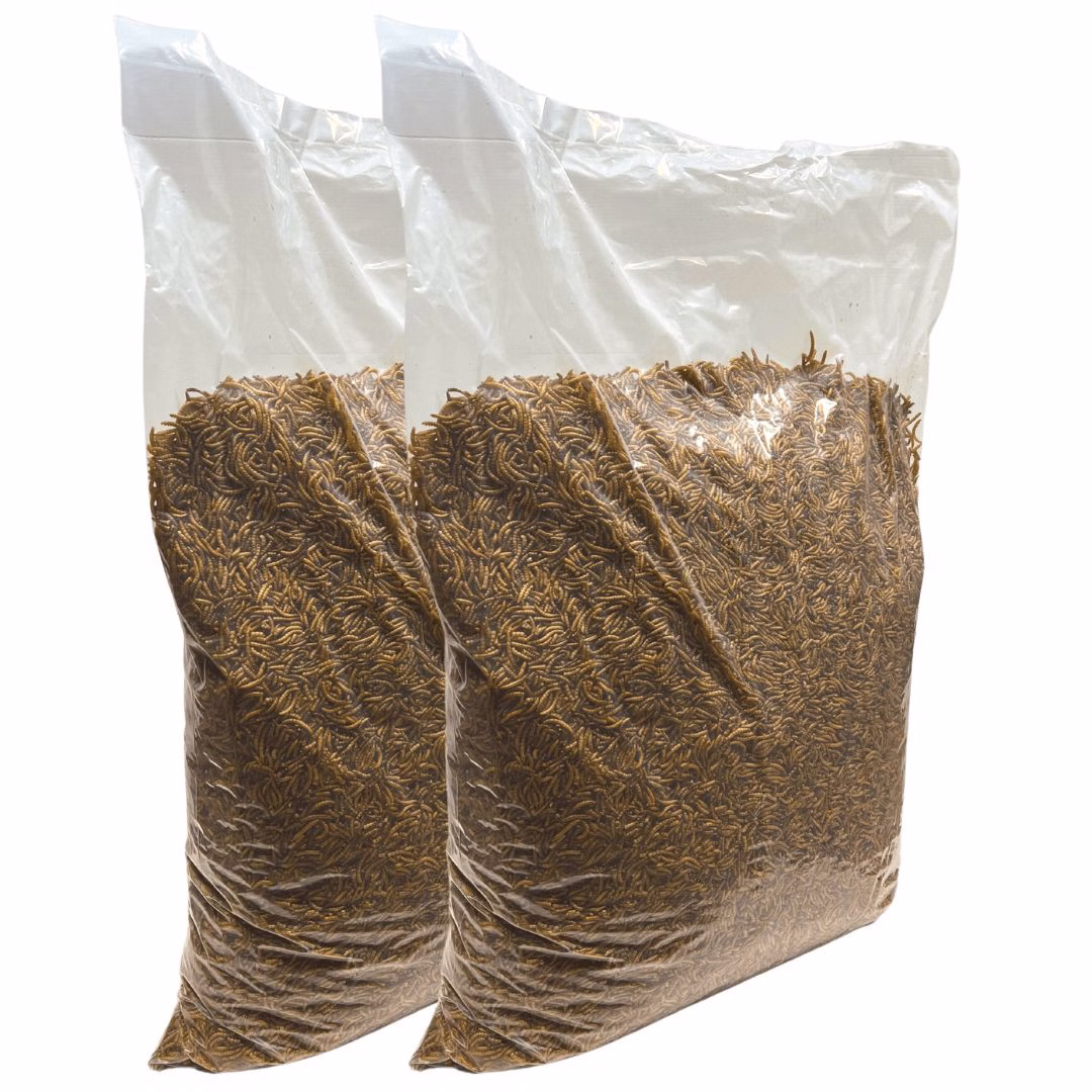 10-kg-Getrocknete-Mehlwuermer.jpg