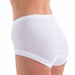 Damen high-waist hochgeschlossene Slip Hüftslip weiß Rückansicht